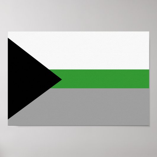 Demiromantischer Stolz Poster (Vorne)