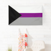 Demisexual Stolz Banner (Insitu)