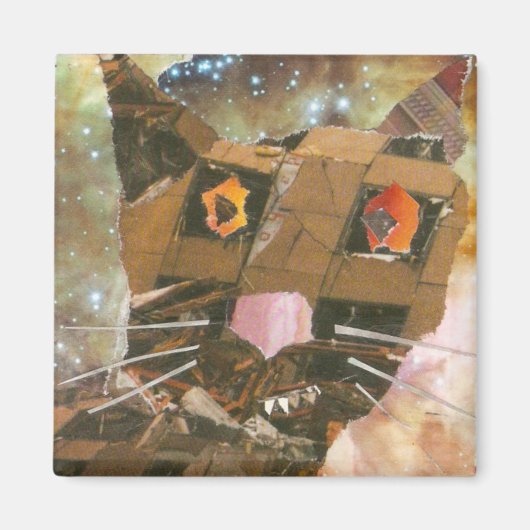 Demo Cat Magnet (Vorne)