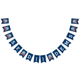 Demokratische Flagge des Verein-D11