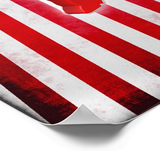 Demokratischer Donkey Poster (Ecke)