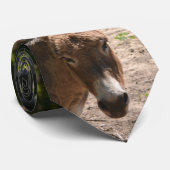 Demokratischer Esel Krawatte (Gerollt)