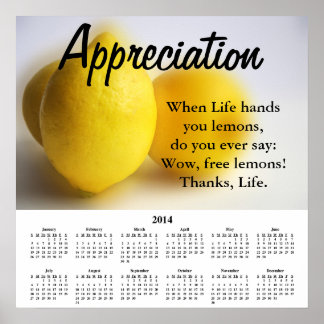 Demotivationaler Kalender 2014 Poster