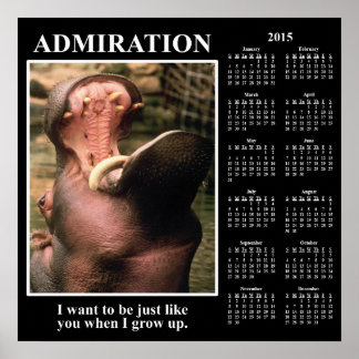Demotivationaler Mauerkalender 2015: Ich bewundere Poster