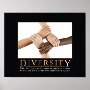 Demotivationspaket für Diversity Poster