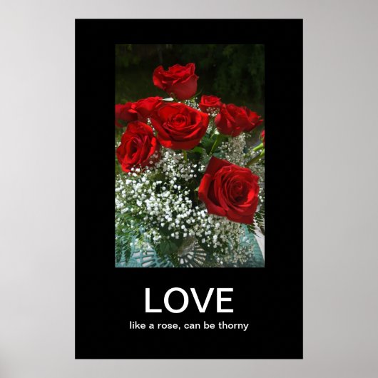 Demotivationspaket für Lieben Poster (Vorne)