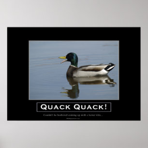 Demotivationspopster für Mallard Duck Poster