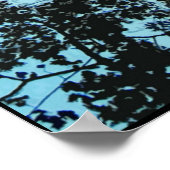 Den Baum hinauf Poster (Ecke)