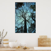 Den Baum hinauf Poster (Küche)
