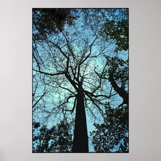 Den Baum hinauf Poster (Vorne)