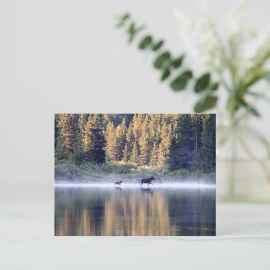 Den Nebel überqueren Postkarte (Stehend Vorderseite)