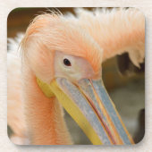 Den Pelican Cork Untersetzer beobachten (Vorderseite)