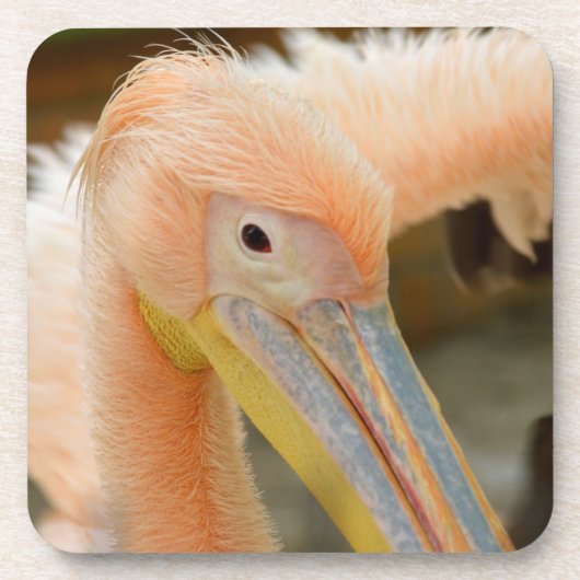 Den Pelican Cork Untersetzer beobachten (Vorderseite)