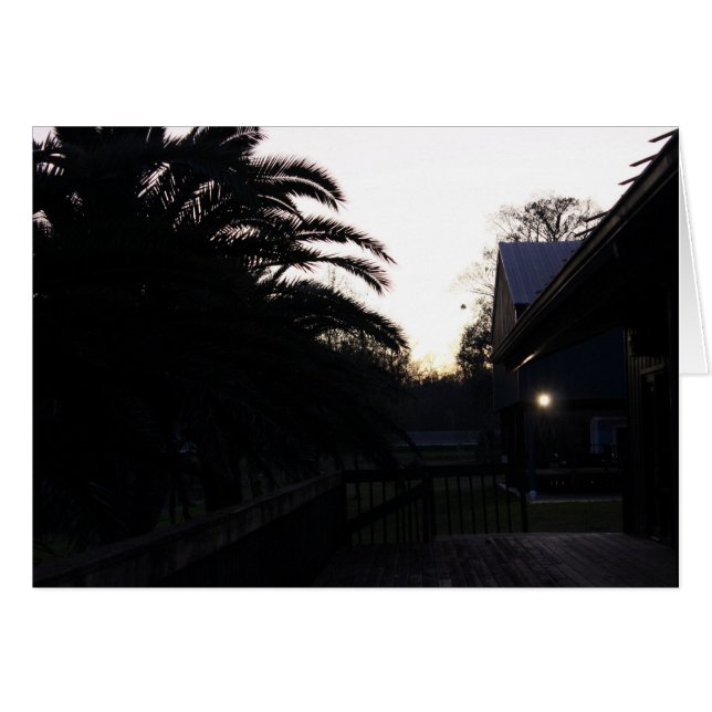 Den Sonnenuntergang beobachten (Vorderseite (Horizontal))