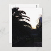 Den Sonnenuntergang beobachten Postkarte (Vorne/Hinten)