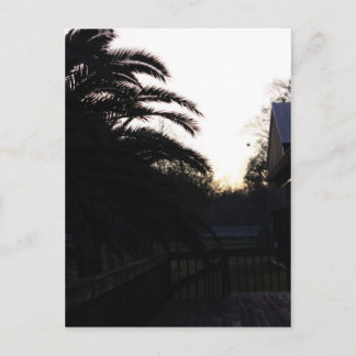 Den Sonnenuntergang beobachten Postkarte