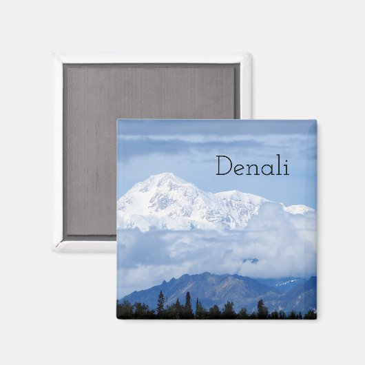 Denali Alaska Mountain Foto Magnet (Vorderseite/Rückseite)