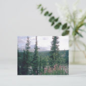 Denali, Alaska Postkarte (Stehend Vorderseite)