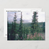 Denali, Alaska Postkarte (Vorne/Hinten)