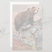 Denali Braunbär Briefpapier (Vorne/Hinten)
