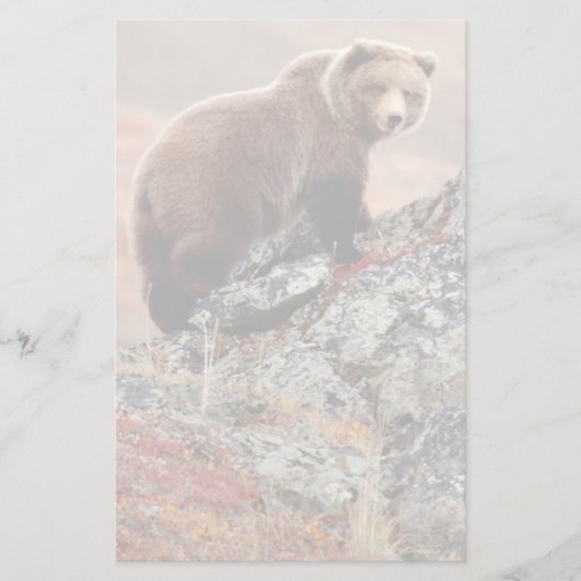 Denali Braunbär Briefpapier (Vorderseite)