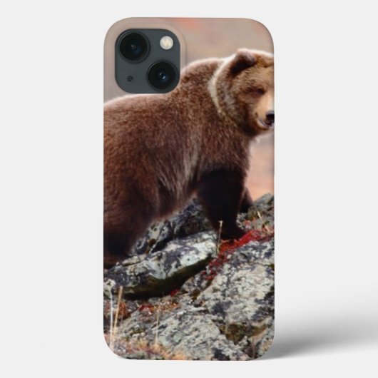 Denali Braunbär Case-Mate iPhone Hülle (Rückseite)