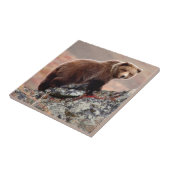 Denali Braunbär Fliese (Seite)