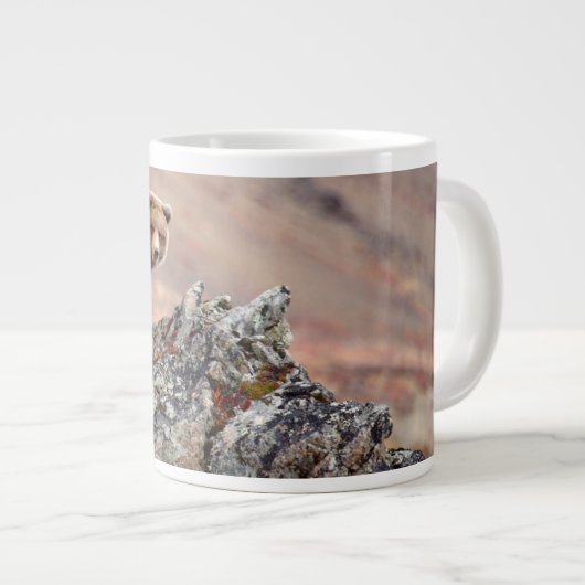 Denali Braunbär Jumbo-Tasse (Vorderseite Rechts)