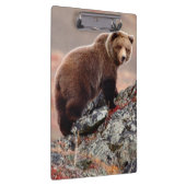 Denali Braunbär Klemmbrett (Rechts)