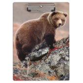 Denali Braunbär Klemmbrett (Vorderseite)