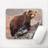 Denali Braunbär Mousepad (Mit Mouse)