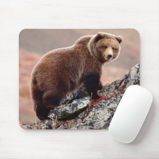 Denali Braunbär Mousepad (Mit Mouse)