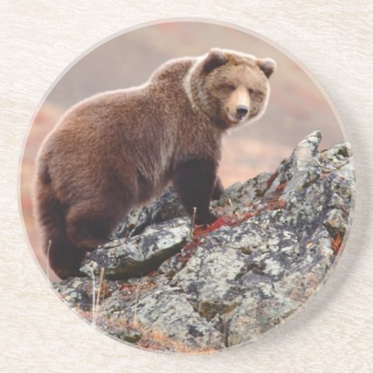Denali Braunbär Sandstein Untersetzer (Vorne)