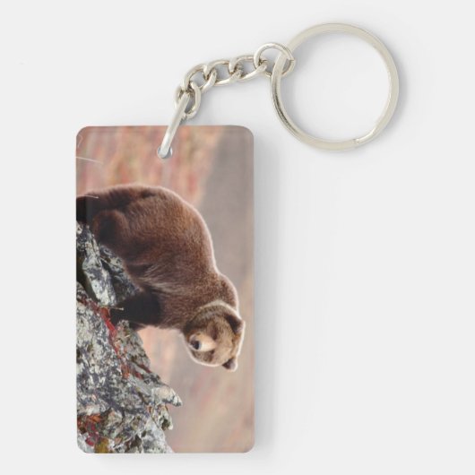 Denali Braunbär Schlüsselanhänger (Rückseite)