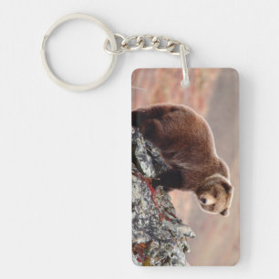 Denali Braunbär Schlüsselanhänger