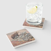 Denali Braunbär Steinuntersetzer (Seitenansicht)