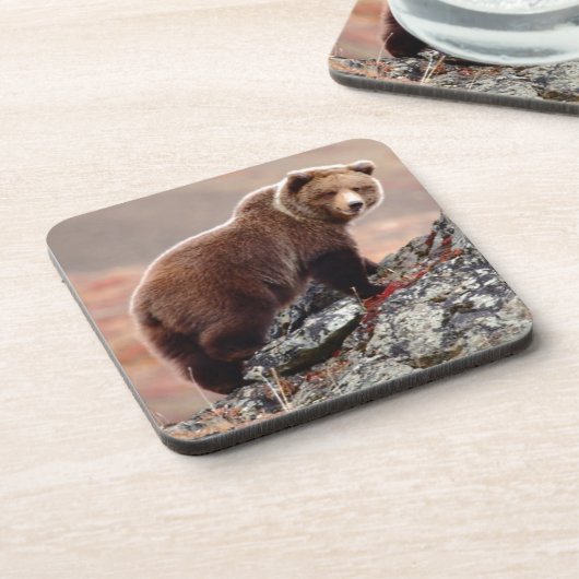 Denali Braunbär Untersetzer (Linke Seite)