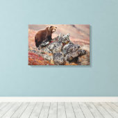 Denali Brown Bear Leinwanddruck (Insitu (Holzboden))