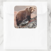 Denali Brown Bear Quadratischer Aufkleber (Tasche)