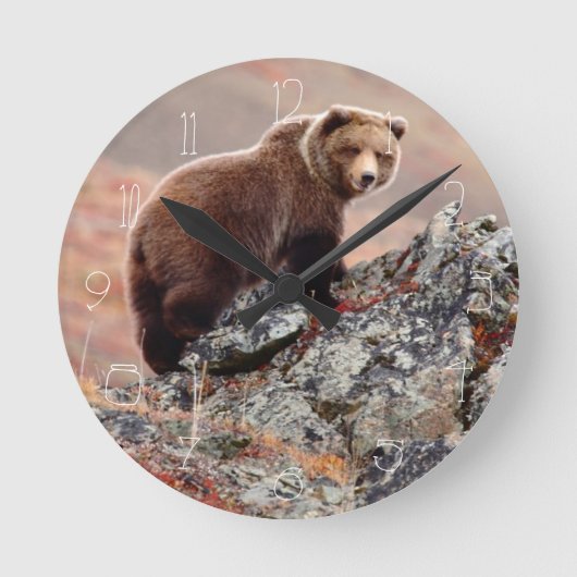 Denali Brown Bear Runde Wanduhr (Vorderseite)