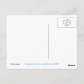 Denali, Denali Alaska Postkarte (Rückseite)