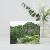 Denali Express Alaska Bahn Urlaub Fotografie (Stehend Vorderseite)