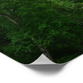 Denali Express Alaska Bahn Urlaub Fotografie Poster (Ecke)