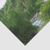 Denali Express Alaska Bahn Urlaub Fotografie Seidenpapier (Ausschnitt)