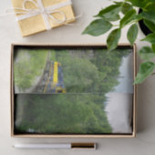 Denali Express Alaska Bahn Urlaub Fotografie Seidenpapier (Geschenk)