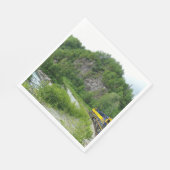 Denali Express Alaska Bahn Urlaub Fotografie Serviette (Ecke)