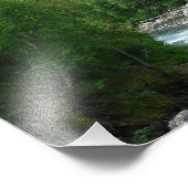 Denali Express Alaska Zug Urlaubsfotografie Fotodruck (Ecke)