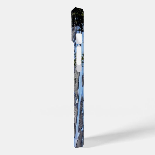 Denali-Gebirgskette Case-Mate iPhone Hülle (Rückseite / Links)