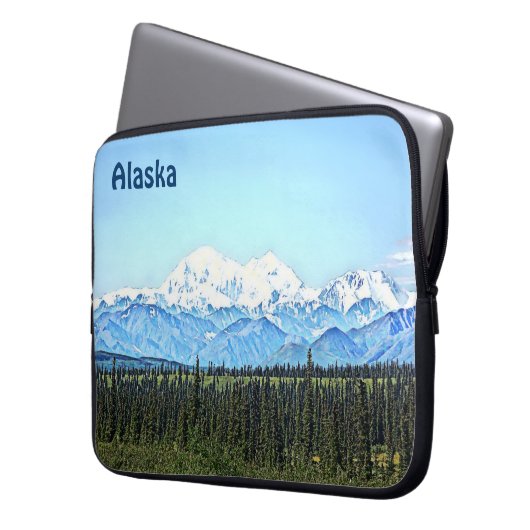 Denali (Mt. McKinley) Laptopschutzhülle (Vorderseite Links)