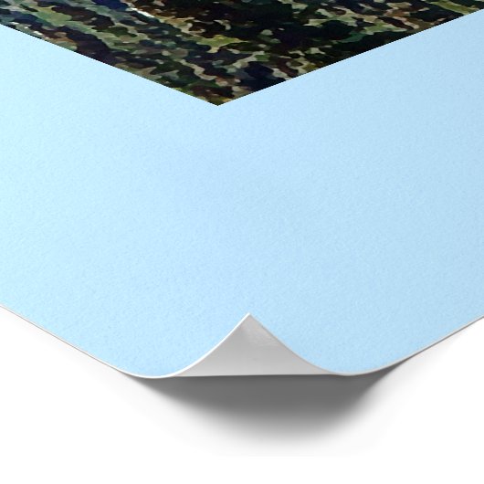 Denali (Mt. McKinley) Poster (Ecke)